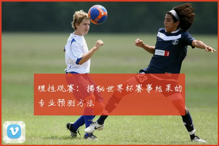 理性观赛：揭秘世界杯赛事结果的专业预测方法