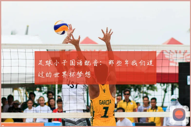 足球小子国语配音：那些年我们追过的世界杯梦想