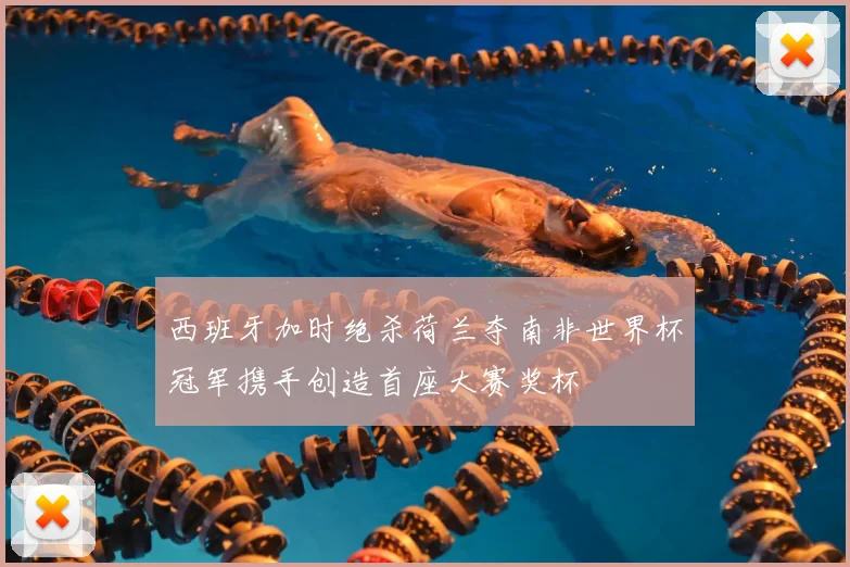 西班牙加时绝杀荷兰夺南非世界杯冠军携手创造首座大赛奖杯
